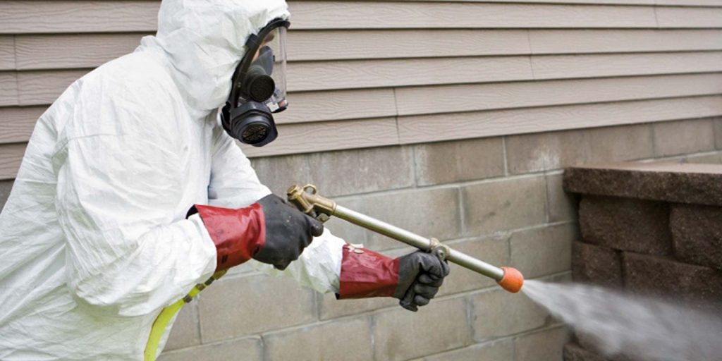 Dedetizadora de abelhas