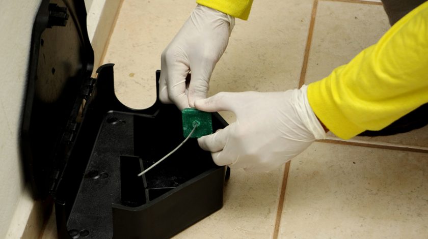 Dedetizadora de ratos